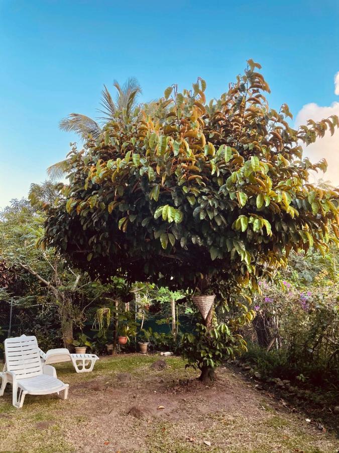 Residence Sucrerie Motel - Les Anses-D'Arlets - Martinique Luaran gambar